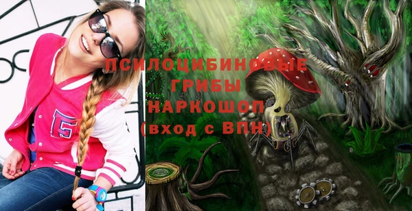 стаф Алексеевка